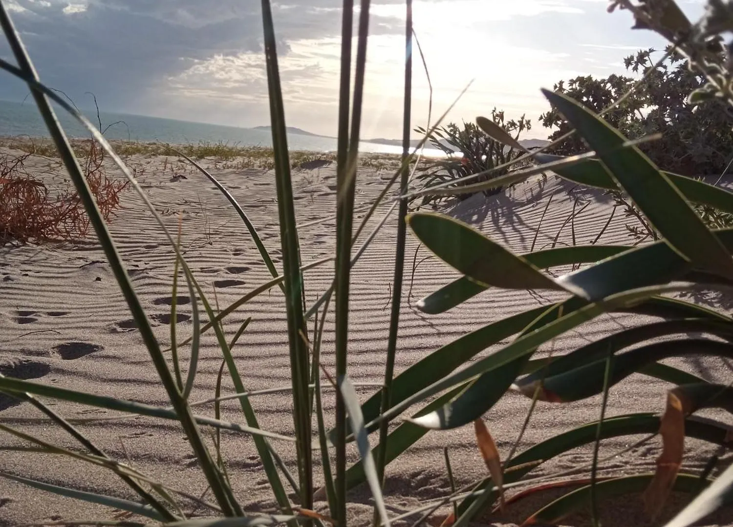 natura e relax sul mare Gela 0*,